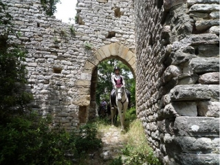 Trekking equestri.jpg